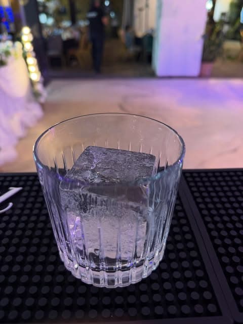 Cub mare de gheață la bar